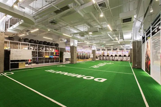 Corti visibili America Latina Sport commerciale Terreno artificiale per la manutenzione regolare