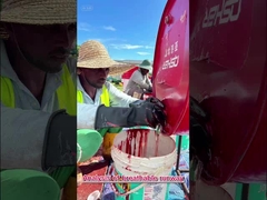 WA Certificato Alta flessibilità pista di corsa Tartan personalizzata per progetti