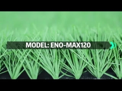 Vi presento ENOCH MAX.