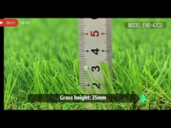 ENO-47CU Giardino d'autunno.