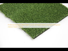 Corti di padel a parete di vetro professionali per ordini di grandi dimensioni Corti di padel interna su misura